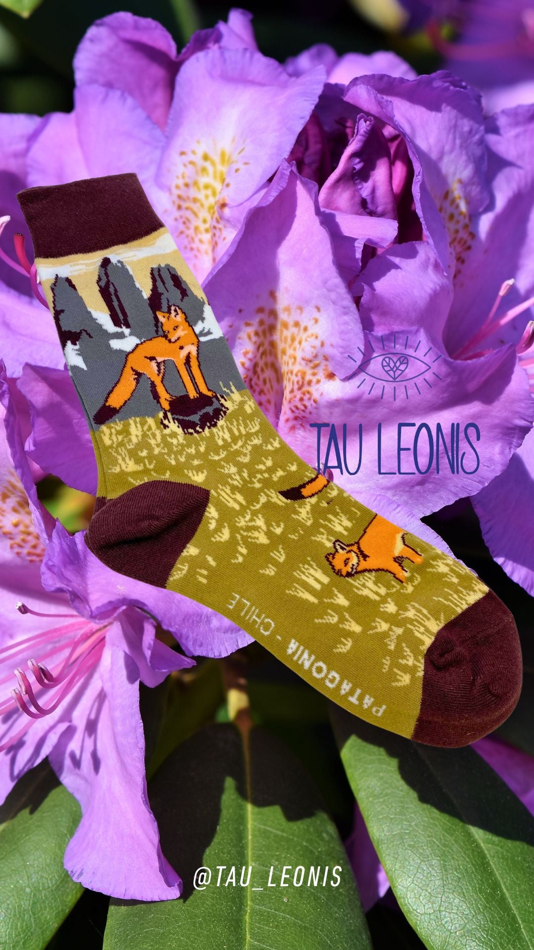 Zorro 🦊 🇨🇱❤️ Patagonia Chilena